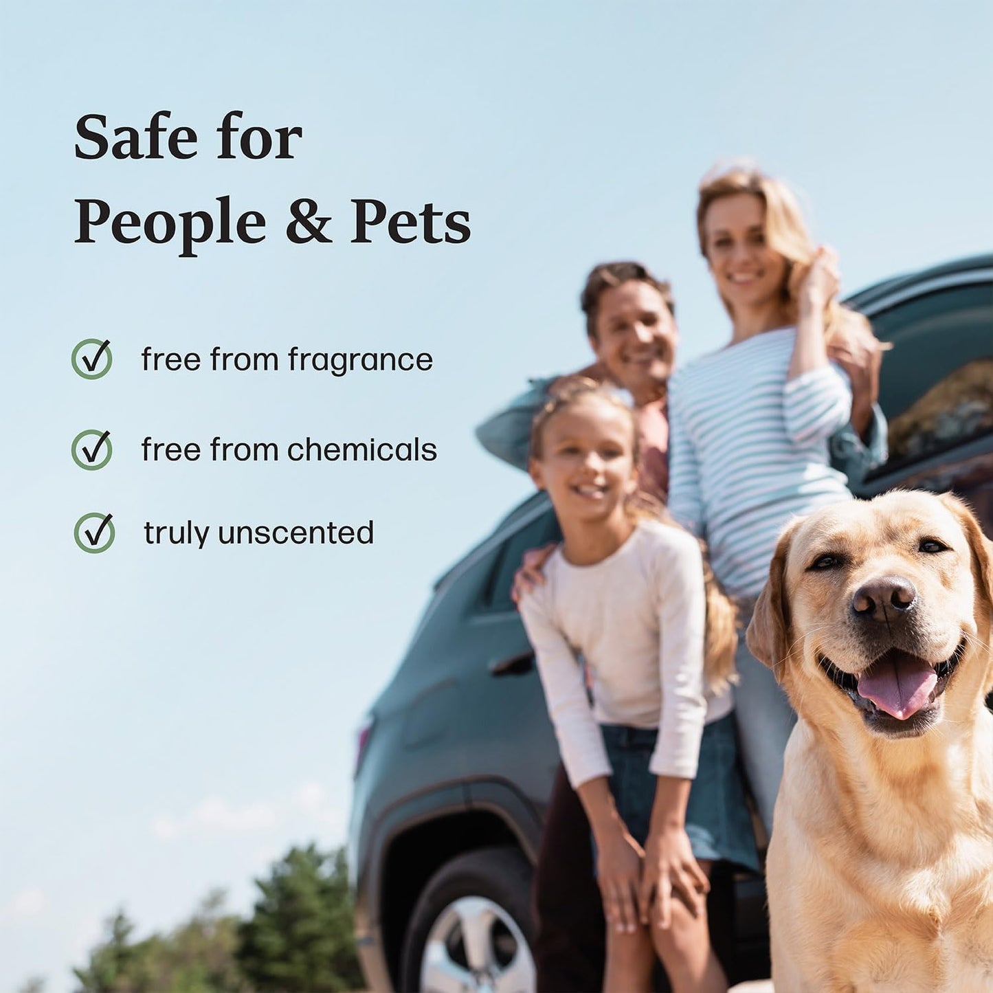 MOSO NATURAL Air Purifying Bag A Scent Free Odor Eliminator For Cars, Trucks and SUVs. Premium Moso Bamboo Charcoal Odor Absorber - 300 g (Pack of 1), Linen, Long Lasting Bag| Lasts up to 2 years!