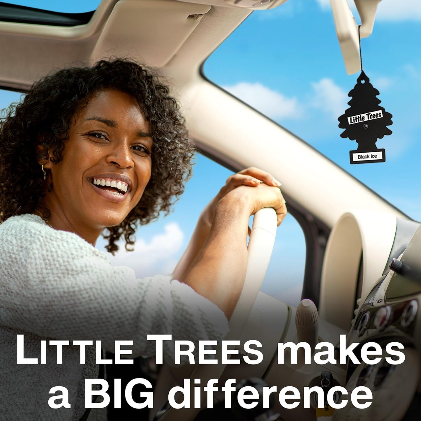 Little Trees Tree Card Air FReshener Leather, Brown, 10290, 1-Pack